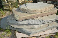 Tumbled Bluestone Steppers (large)