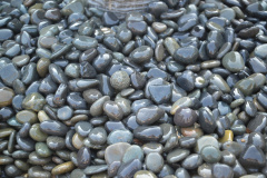 Mexican beach Pebbles 1"