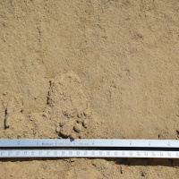 Screened Fill