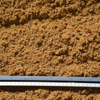 Screened Sand