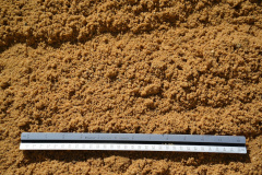 Screened Sand