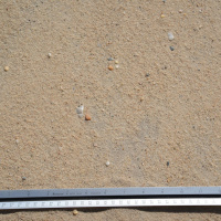 Beach Sand