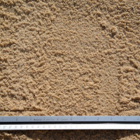 Fine Mason Sand