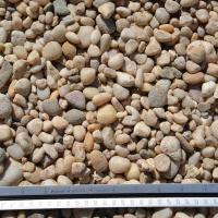 3/4" Decorative