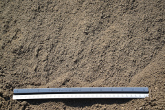 Screened Topsoil