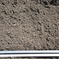 Hampton Compost