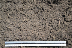 Hampton Compost